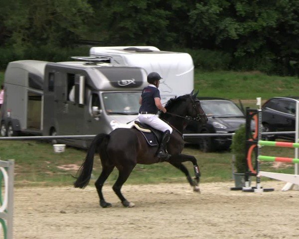Reitturnier Bad Liebenstein/Sorga 2025