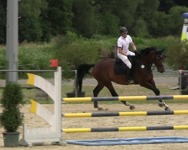 Reitturnier Bad Liebenstein/Sorga 2025