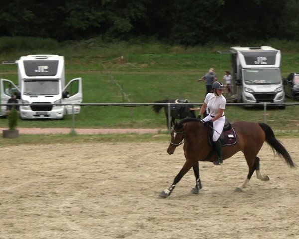 Reitturnier Bad Liebenstein/Sorga 2025