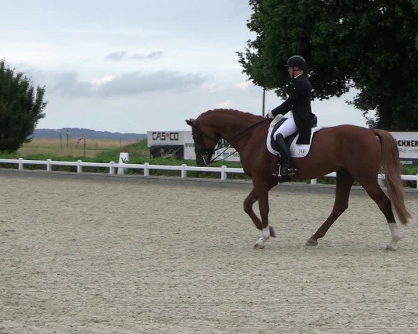 Reitturnier Dresden Gompitz 2025
