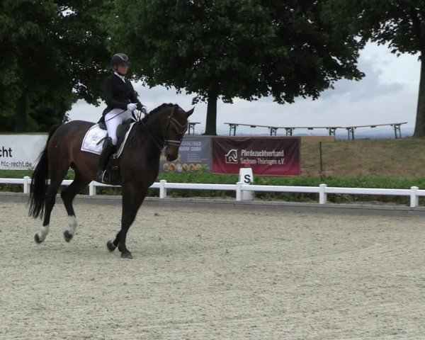 Reitturnier Dresden Gompitz 2025