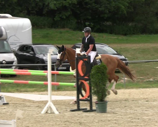 Reitturnier Bad Liebenstein/Sorga 2025