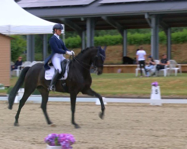 Reitturnier Langenfeld 2025