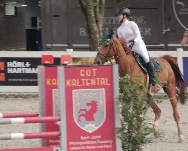 Reitturnier Babenhausen/Schw. 2025