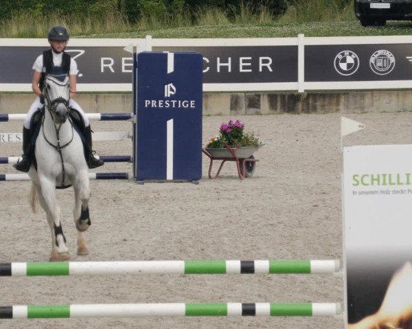 Reitturnier Babenhausen/Schw. 2025