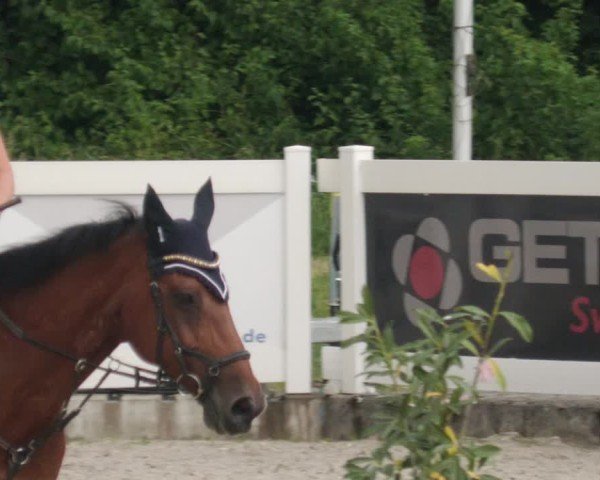 Reitturnier Babenhausen/Schw. 2025