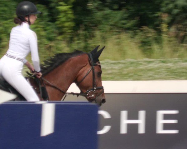 Reitturnier Babenhausen/Schw. 2025