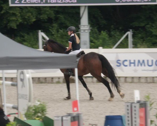 Reitturnier Babenhausen/Schw. 2025