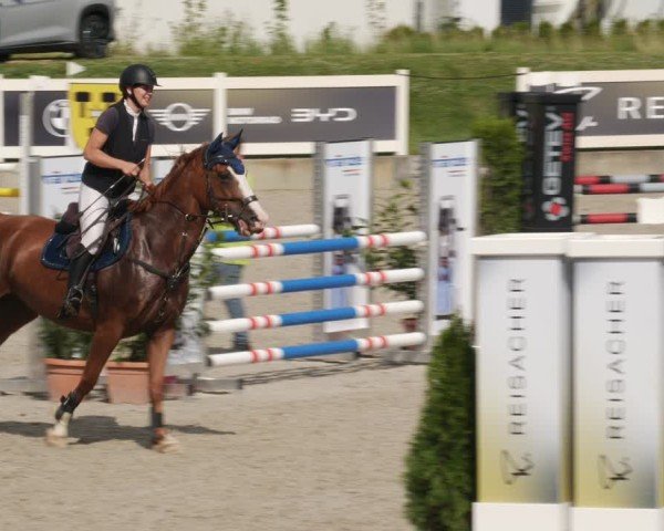 Reitturnier Babenhausen/Schw. 2025