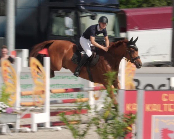 Reitturnier Babenhausen/Schw. 2025