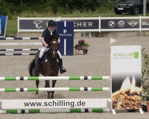 Reitturnier Babenhausen/Schw. 2025