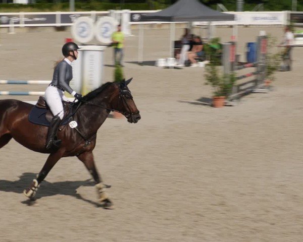 Reitturnier Babenhausen/Schw. 2025