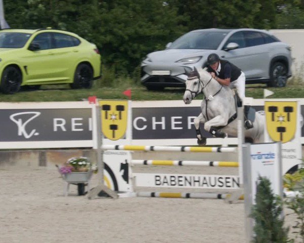 Reitturnier Babenhausen/Schw. 2025