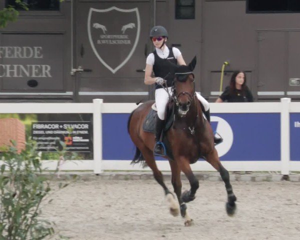 Reitturnier Babenhausen/Schw. 2025