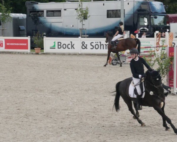 Reitturnier Babenhausen/Schw. 2025