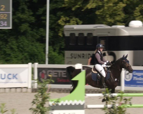 Reitturnier Babenhausen/Schw. 2025
