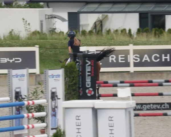 Reitturnier Babenhausen/Schw. 2025