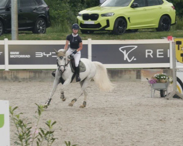 Reitturnier Babenhausen/Schw. 2025