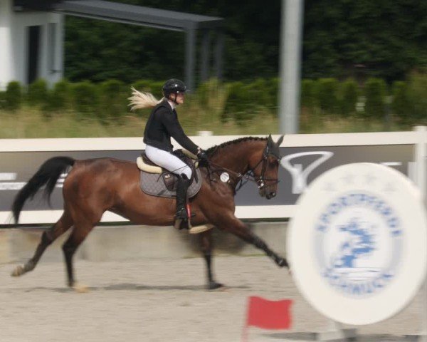 Reitturnier Babenhausen/Schw. 2025