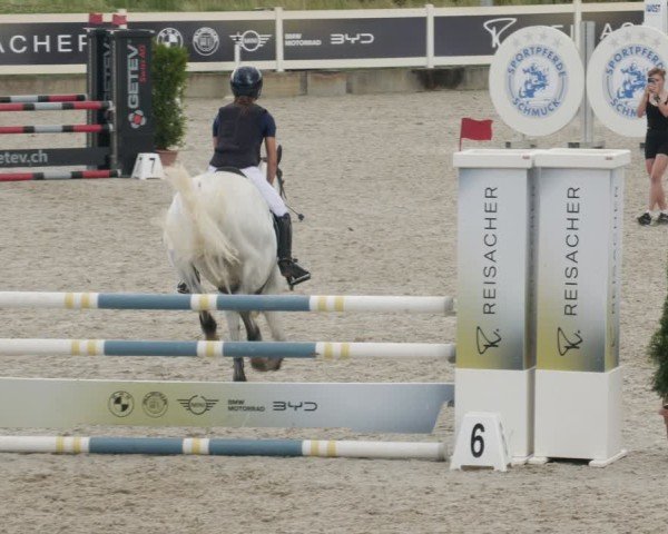Reitturnier Babenhausen/Schw. 2025