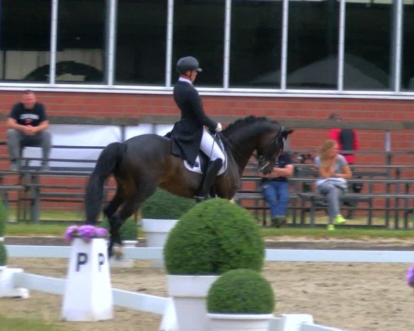 Reitturnier Langenfeld 2025