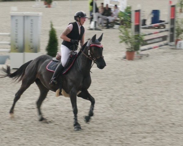 Reitturnier Babenhausen/Schw. 2025