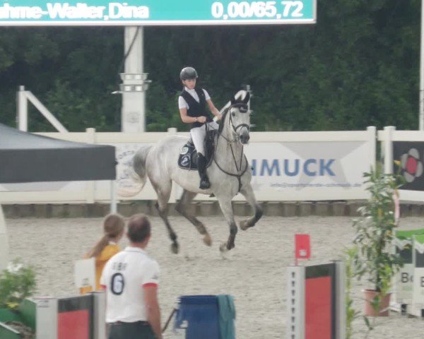 Reitturnier Babenhausen/Schw. 2025