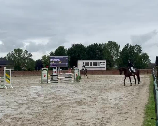Reitturnier Wunstorf- Kolenfeld 2025
