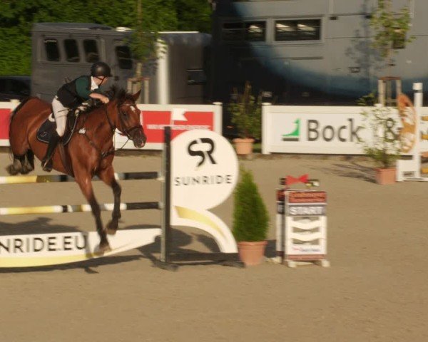 Reitturnier Babenhausen/Schw. 2025