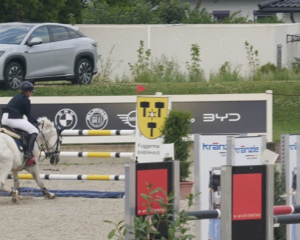 Reitturnier Babenhausen/Schw. 2025
