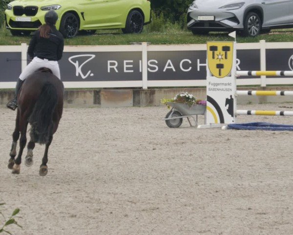 Reitturnier Babenhausen/Schw. 2025