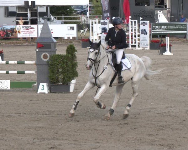 Reitturnier Langenfeld 2025