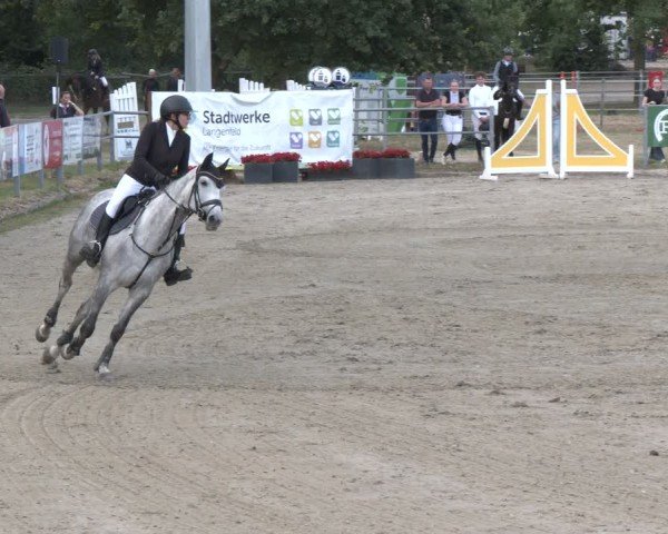 Reitturnier Langenfeld 2025