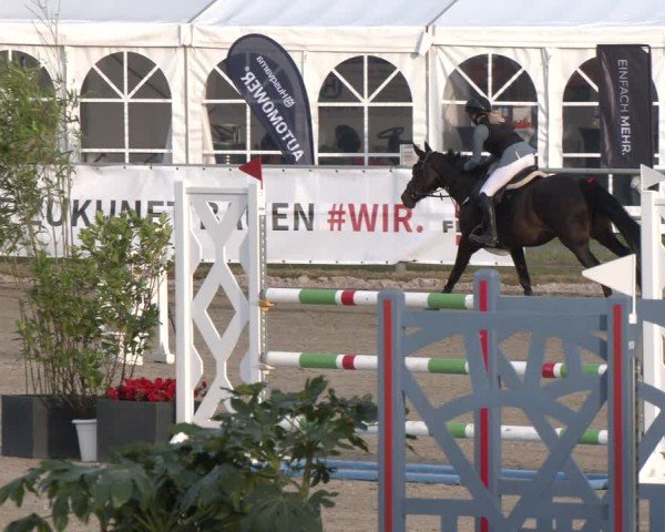 Reitturnier Langenfeld 2025