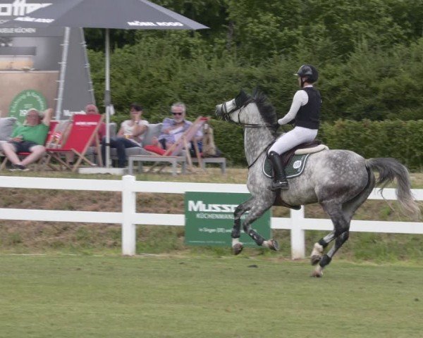 Reitturnier Aach 2025
