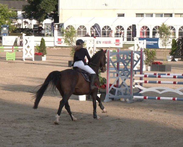 Reitturnier Langenfeld 2025