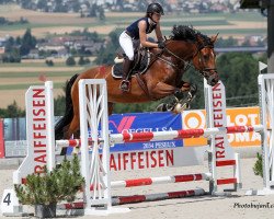 broodmare Minifee CH (Swiss Warmblood, 2014, from Conteur)