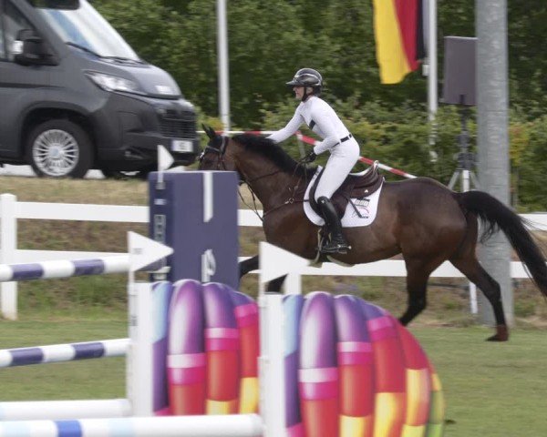 Reitturnier Aach 2025