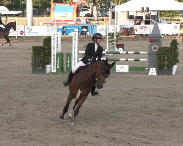 Reitturnier Langenfeld 2025