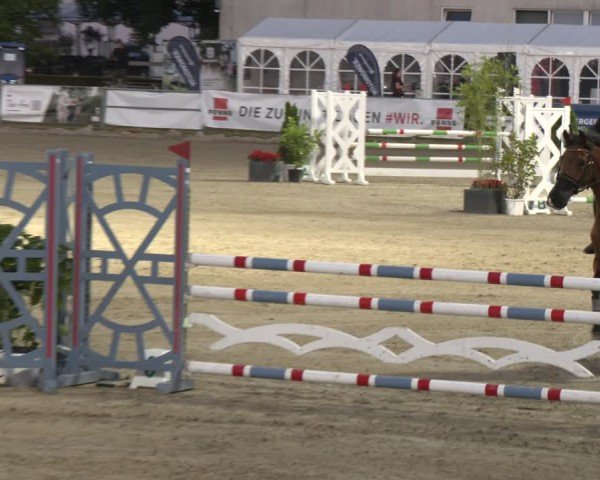 Reitturnier Langenfeld 2025
