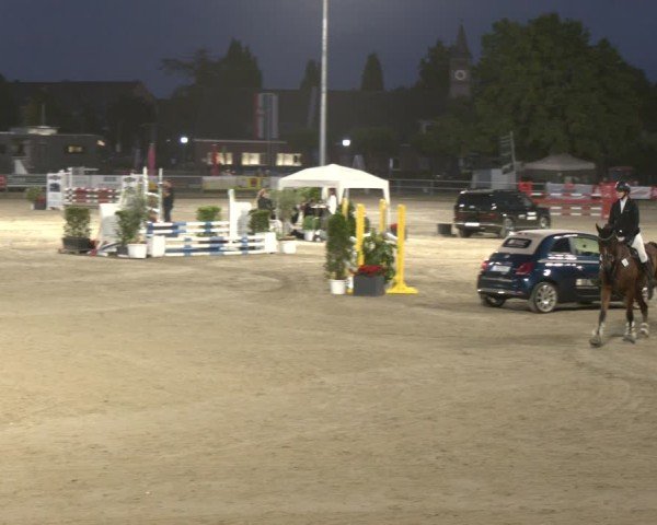 Reitturnier Langenfeld 2025