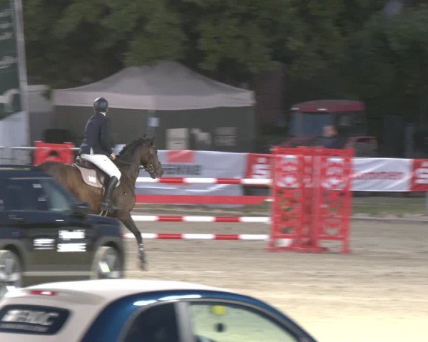 Reitturnier Langenfeld 2025