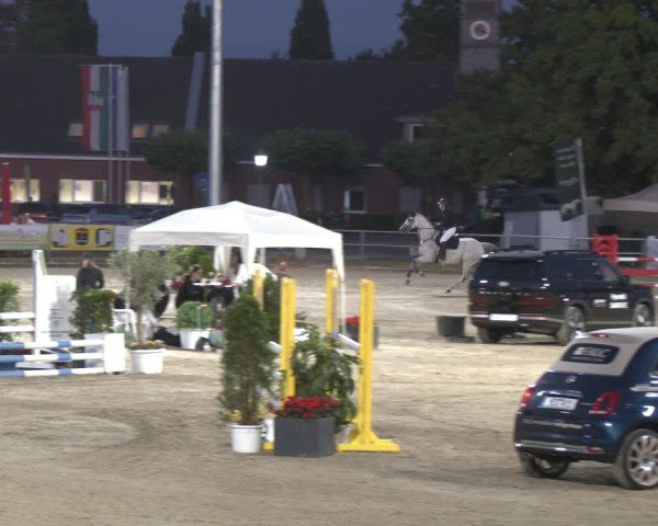 Reitturnier Langenfeld 2025