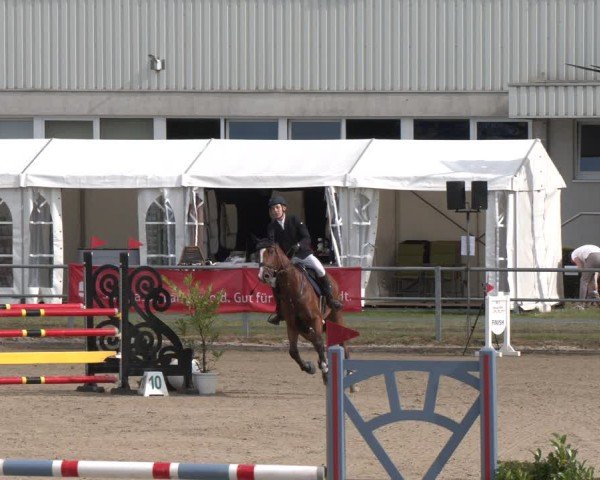Reitturnier Langenfeld 2025