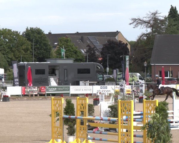 Reitturnier Langenfeld 2025