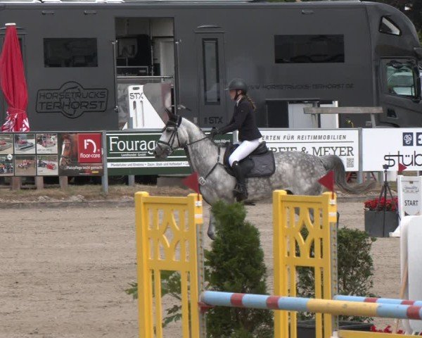 Reitturnier Langenfeld 2025