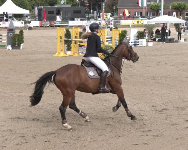 Reitturnier Langenfeld 2025
