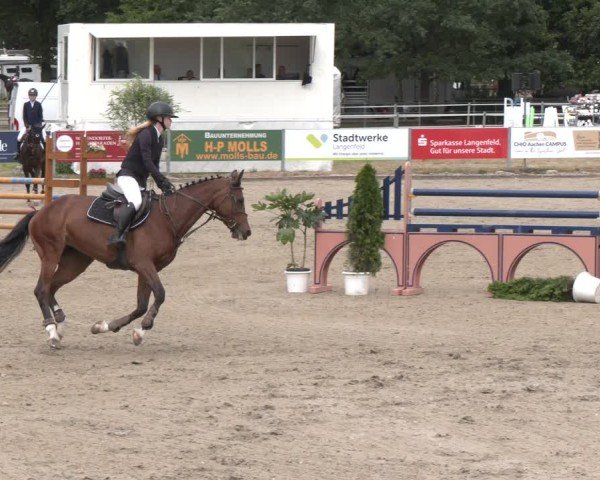 Reitturnier Langenfeld 2025