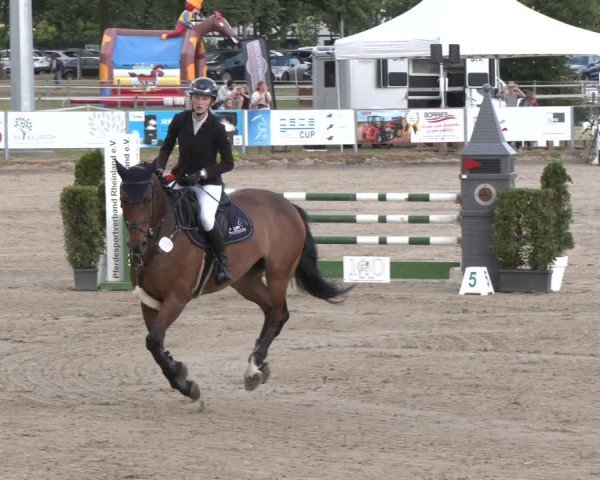 Reitturnier Langenfeld 2025