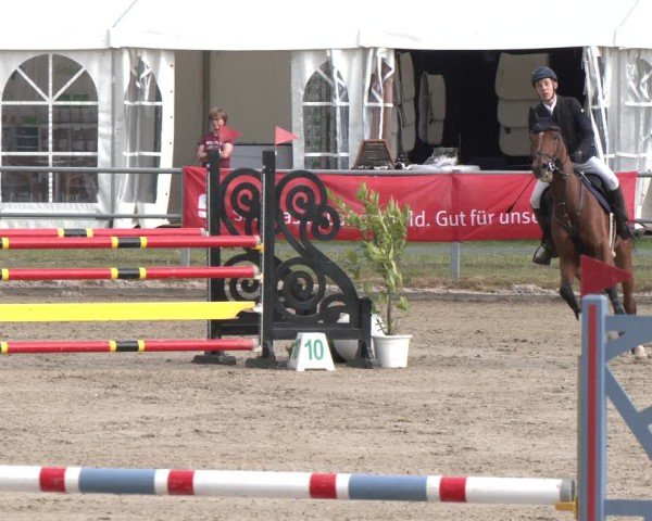 Reitturnier Langenfeld 2025